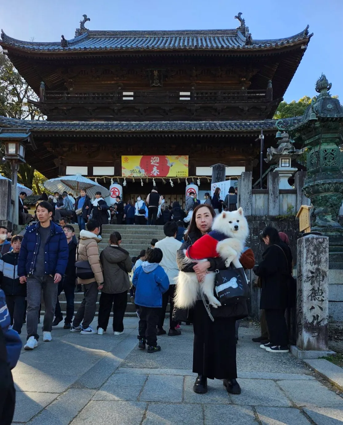 🎍新年明けまして　おめでとうございます✨